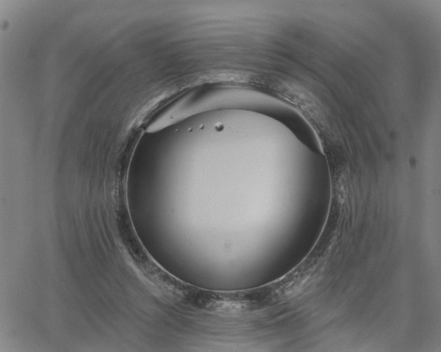 X0000063450352200601271545