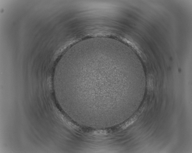 X0000063450353200601271545