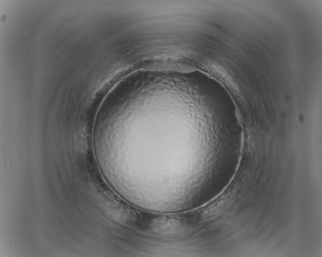 X0000063450354200601271545