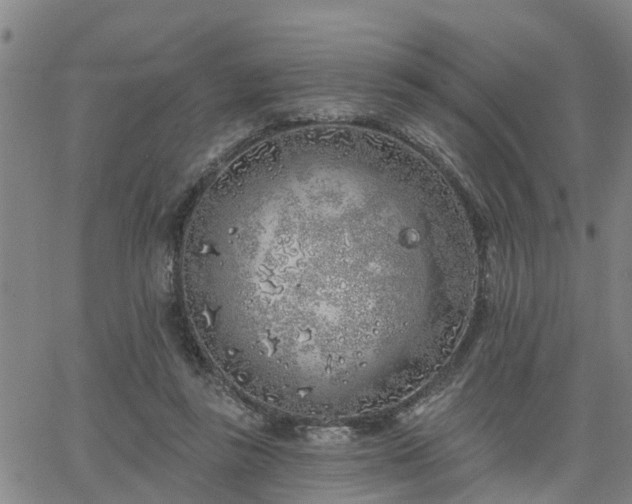 X0000063450355200601271545