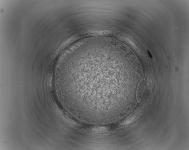 X0000063450357200601271545