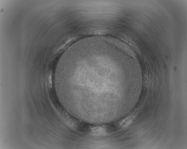 X0000063450358200601271545