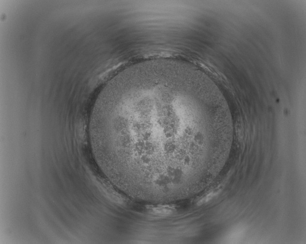 X0000063450359200601271545