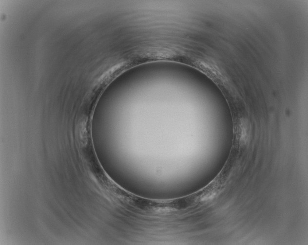 X0000063450360200601271545