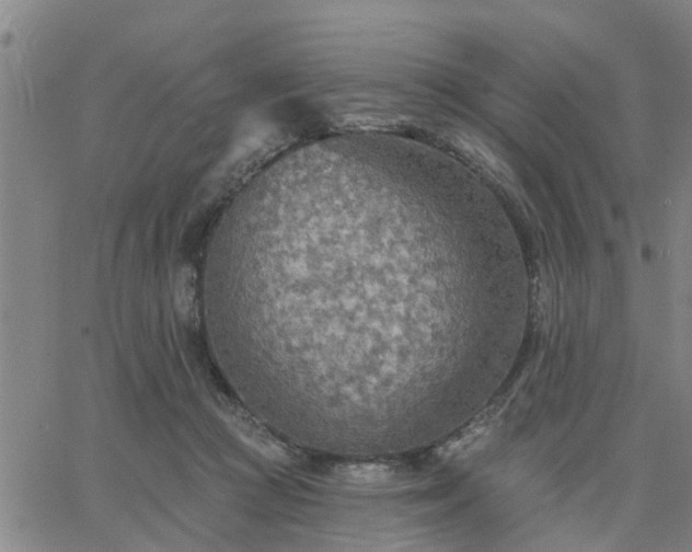 X0000063450361200601271545