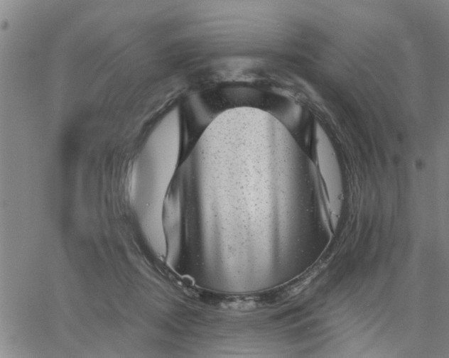 X0000063450362200601271545