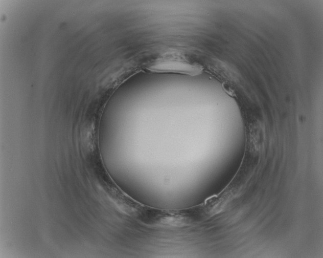 X0000063450364200601271545