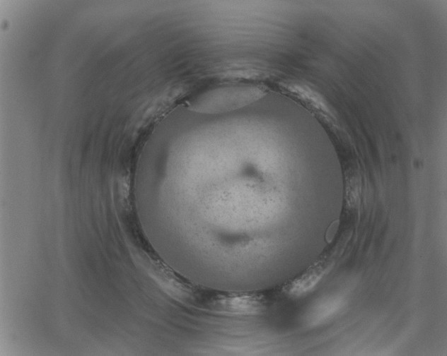 X0000063450365200601271545