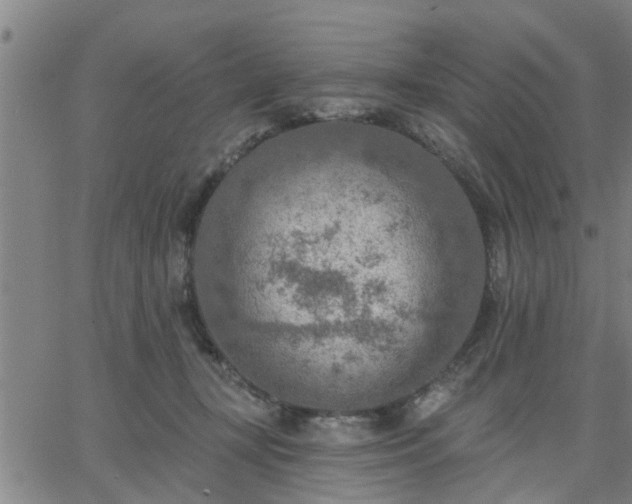 X0000063450367200601271545