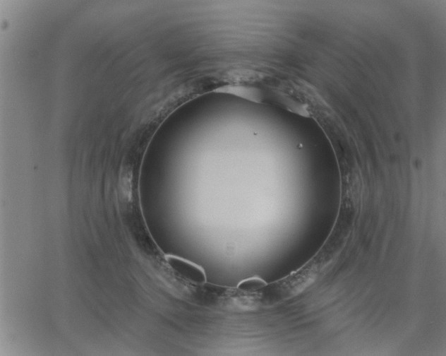 X0000063450368200601271545