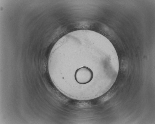 X0000063450370200601271545