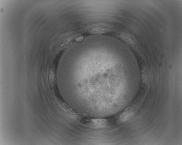 X0000063450371200601271545