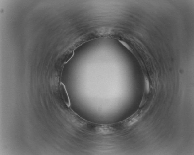 X0000063450372200601271545