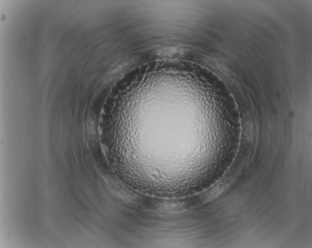 X0000063450375200601271545