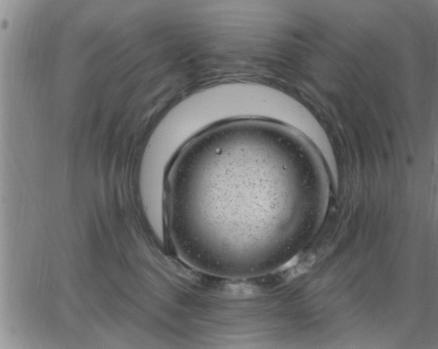 X0000063450376200601271545