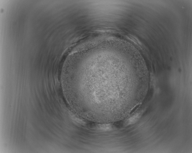 X0000063450377200601271545