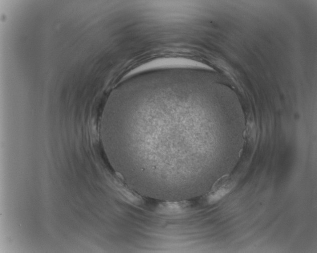 X0000063450381200601271545