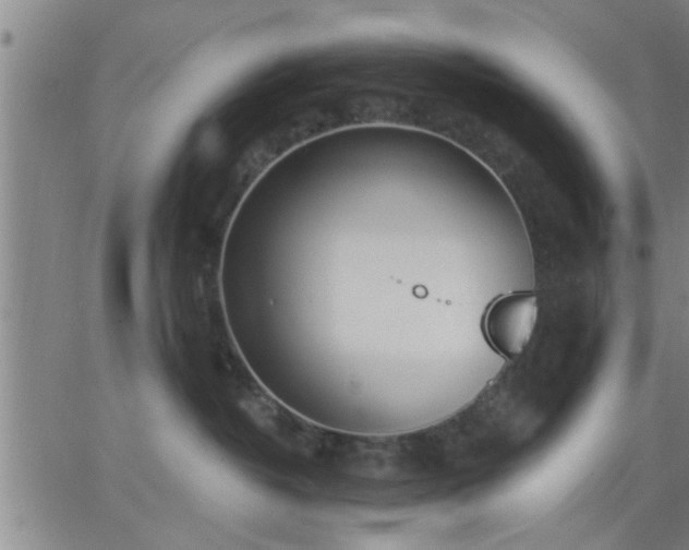 X0000063450382200601271545