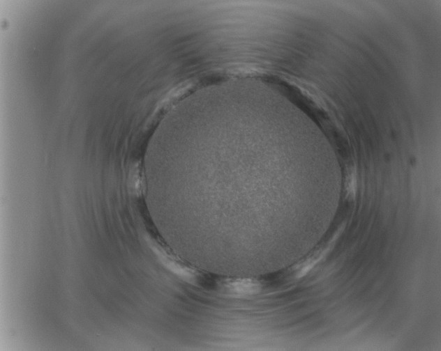 X0000063450383200601271545