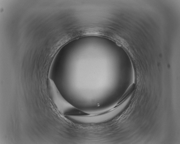 X0000063450385200601271544