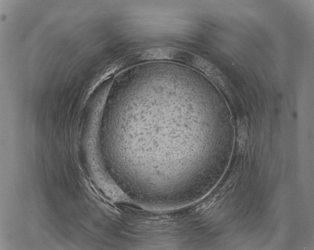 X0000063450386200601271544