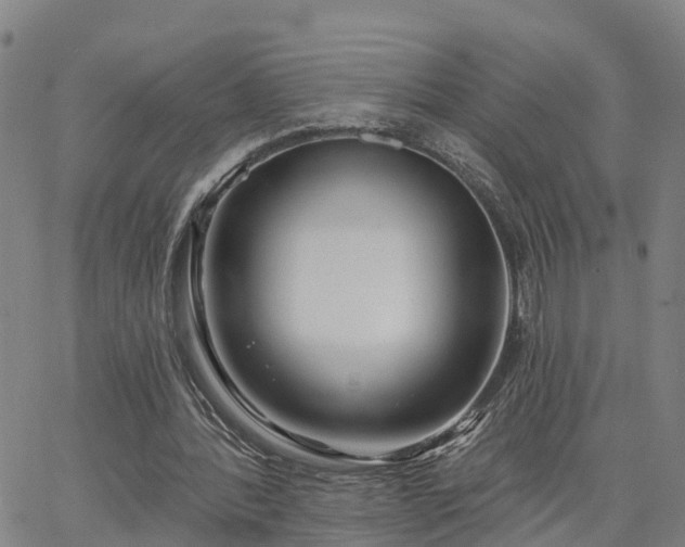 X0000063450388200601271544