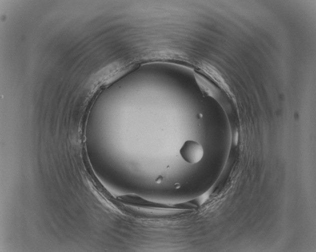 X0000063450389200601271544