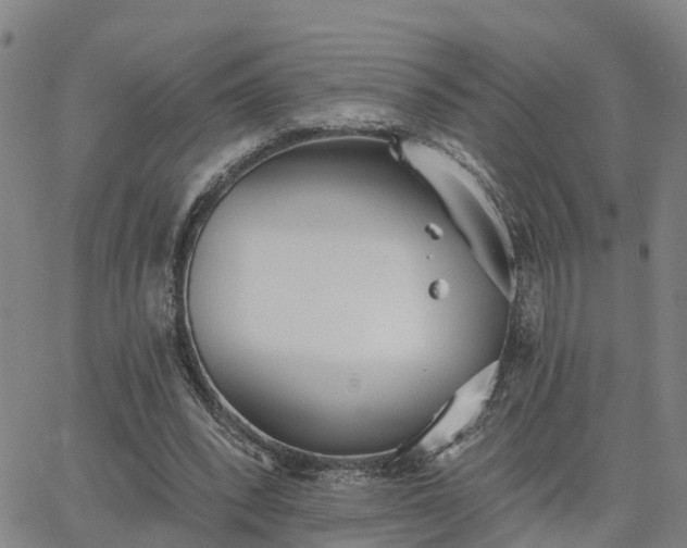 X0000063450392200601271544