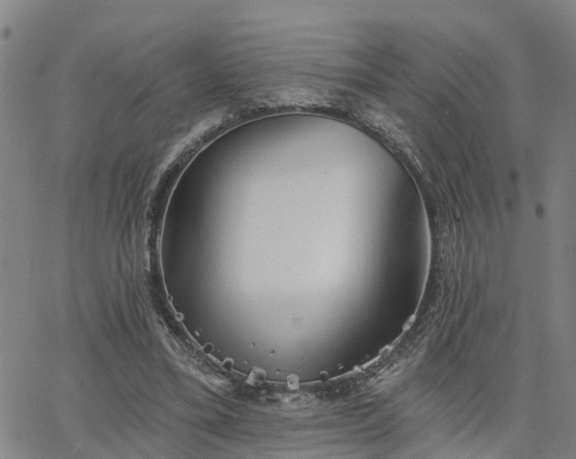 X0000063450395200601271544