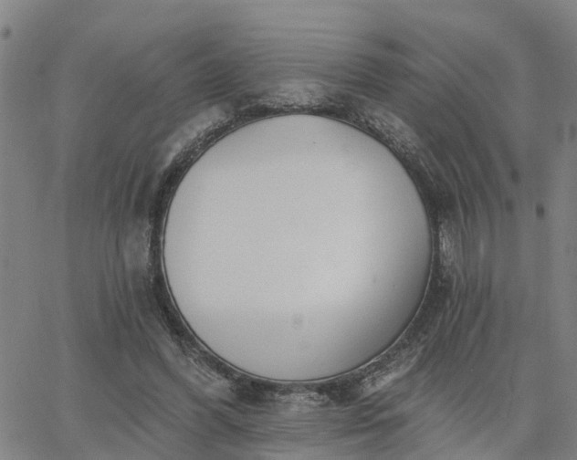 X0000063450396200601271544