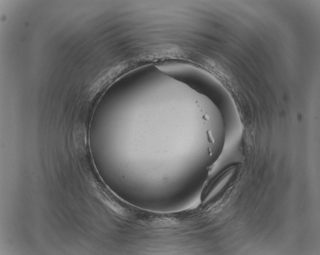 X0000063450397200601271544