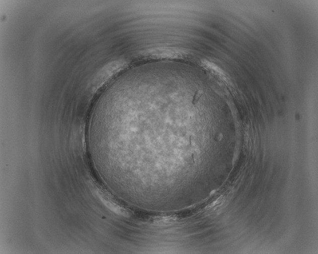 X0000063450398200601271544