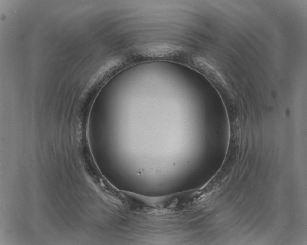 X0000063450400200601271544