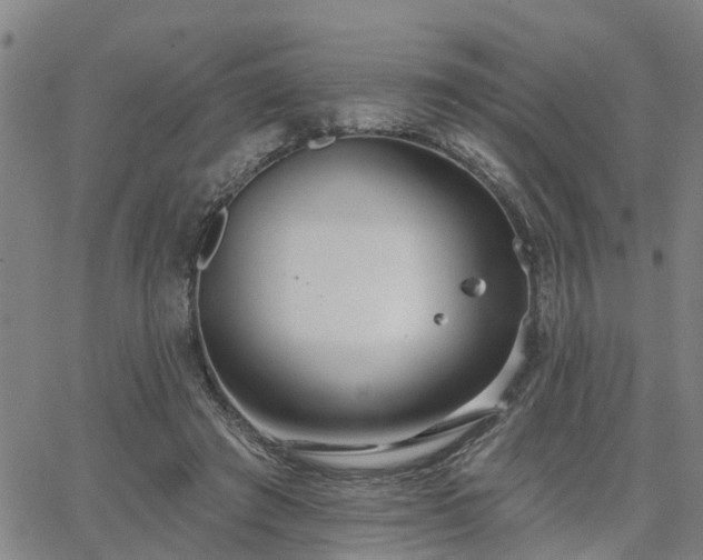 X0000063450401200601271544