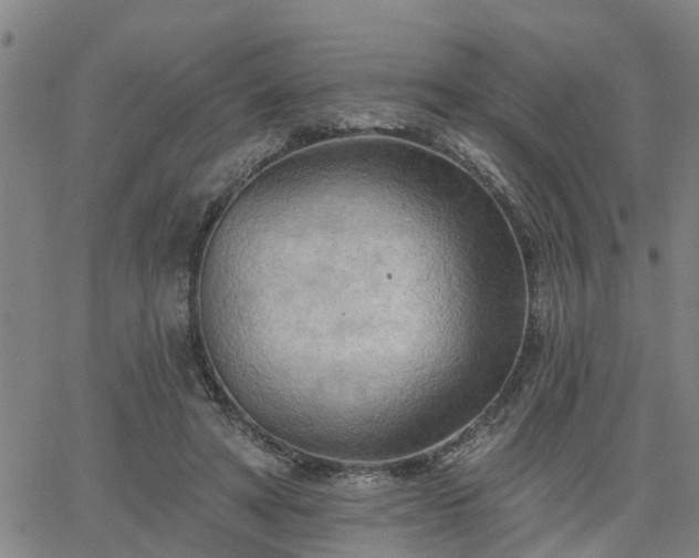 X0000063450402200601271544