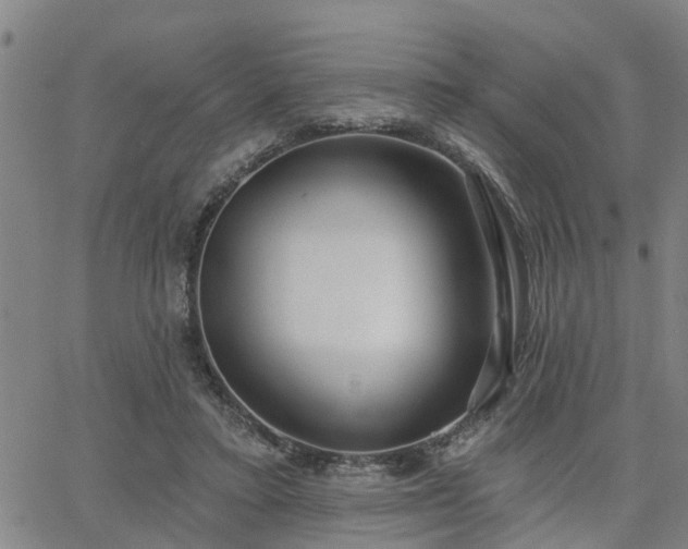 X0000063450403200601271544