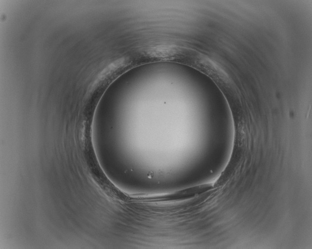 X0000063450404200601271544