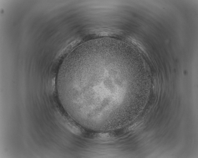 X0000063450406200601271544