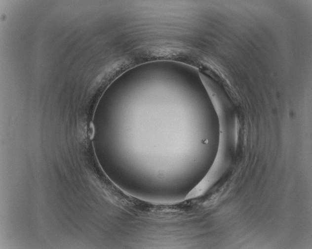 X0000063450407200601271544