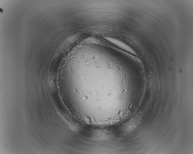 X0000063450408200601271544