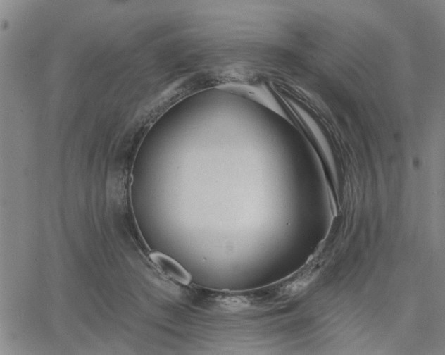 X0000063450409200601271544