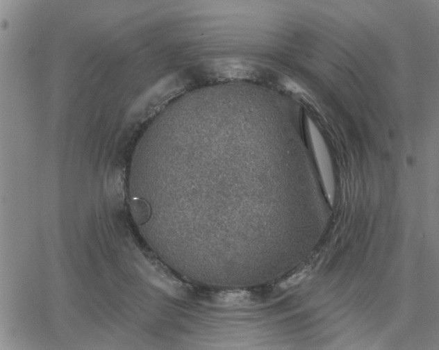 X0000063450410200601271544