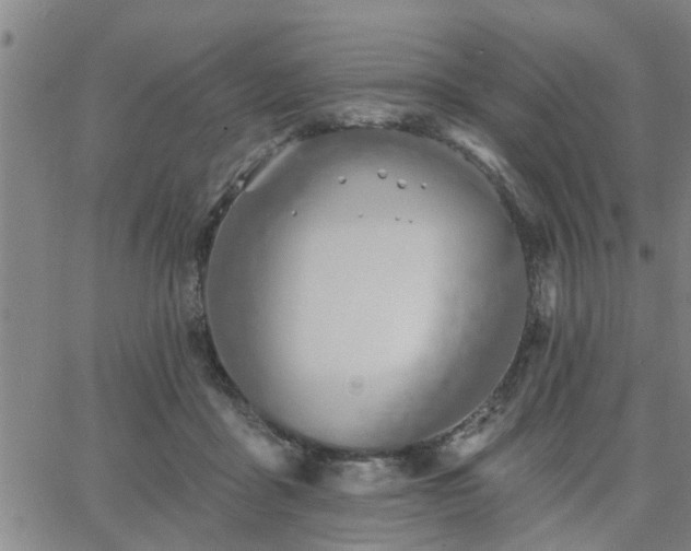 X0000063450411200601271544