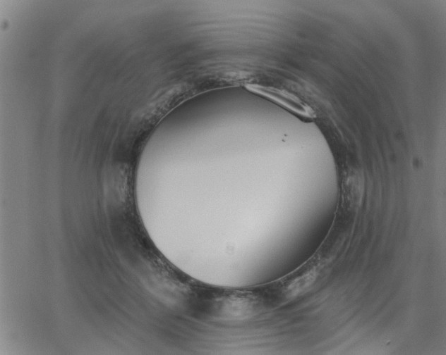 X0000063450412200601271544