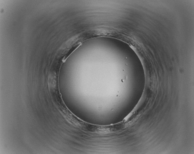 X0000063450413200601271544