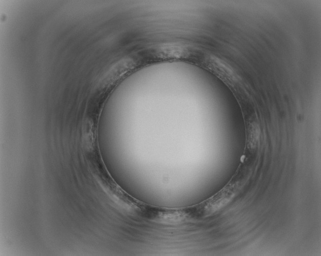 X0000063450414200601271544