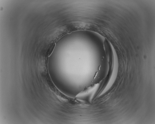 X0000063450416200601271544