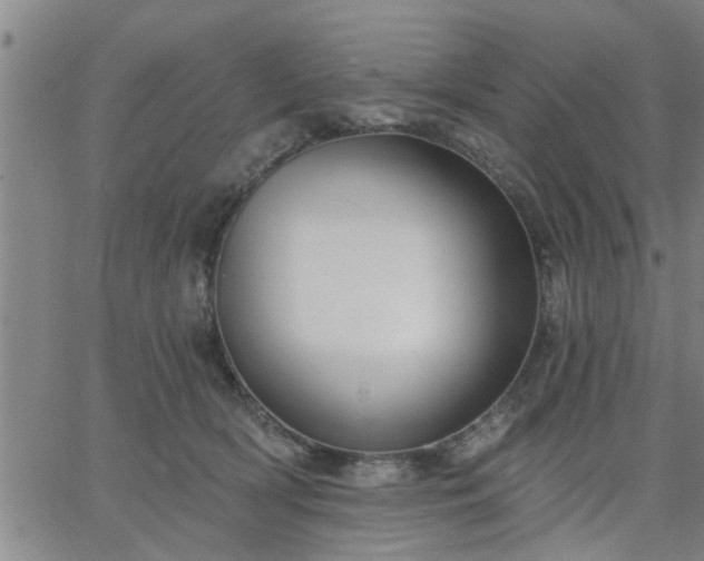 X0000063450418200601271544