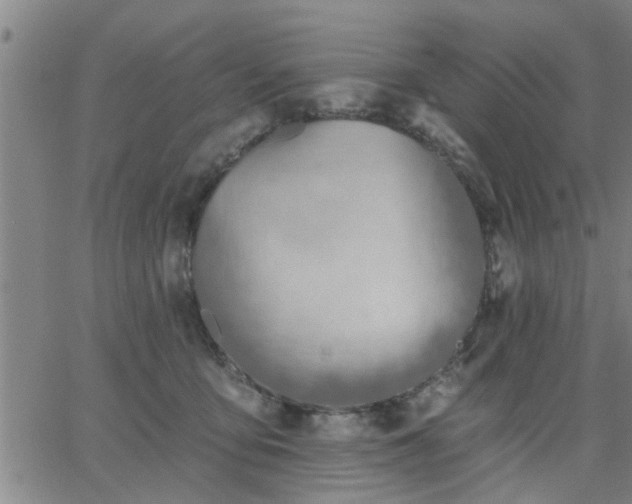 X0000063450419200601271544