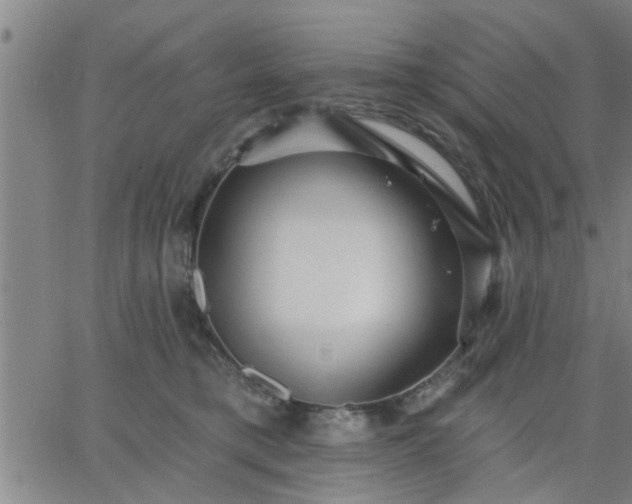 X0000063450421200601271544